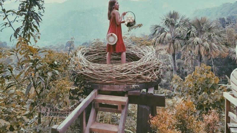 Подготовка за раждането